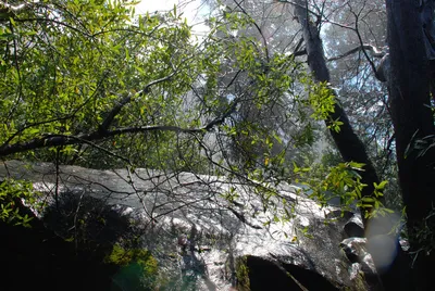 DSC_0078 (Large).JPG